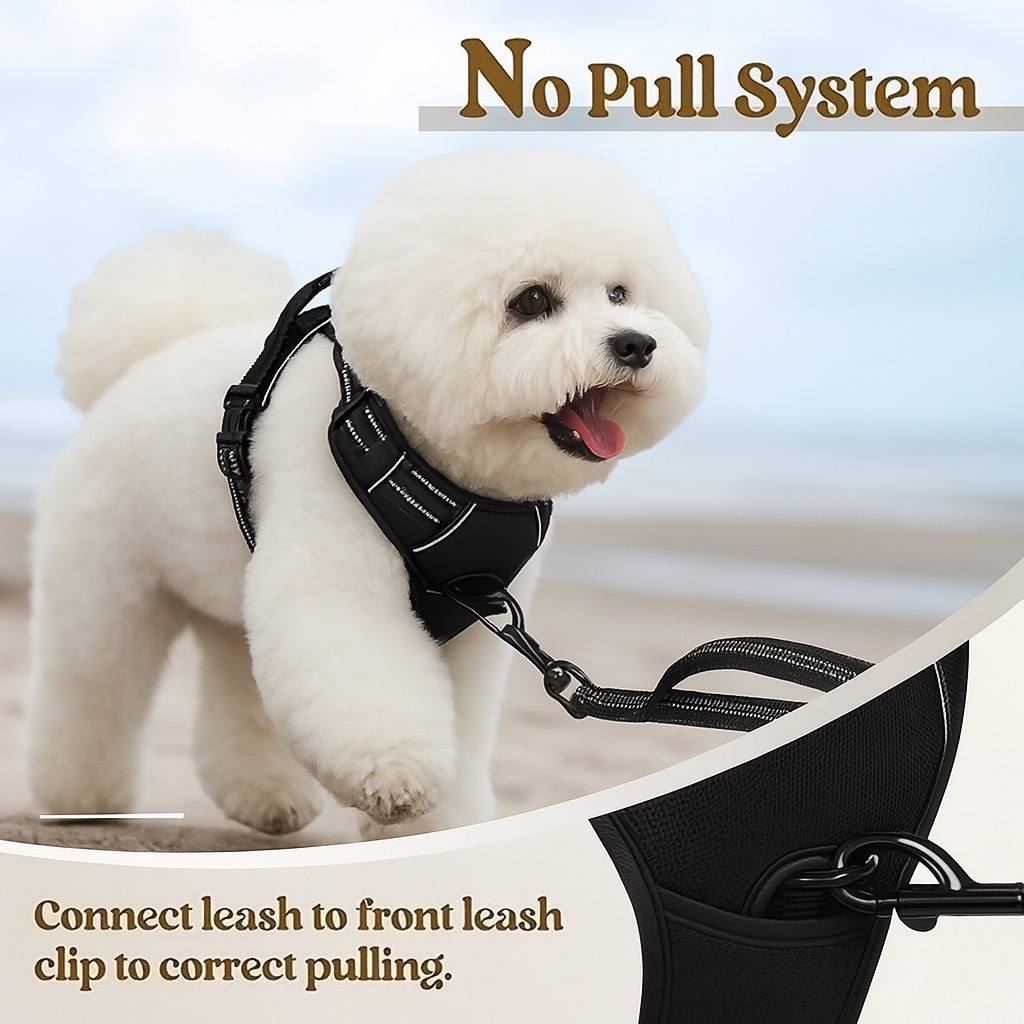 Premium Dog Hareness