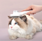 Self Cleaning Comb
