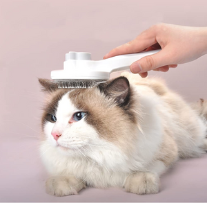 Self Cleaning Comb