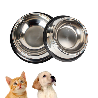 Stainless Steel Pet Bowl + Portable Pet Water Bottle (Combo Offer)