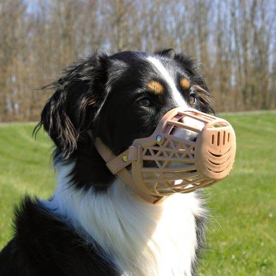 Dog Mouth Cover Muzzle