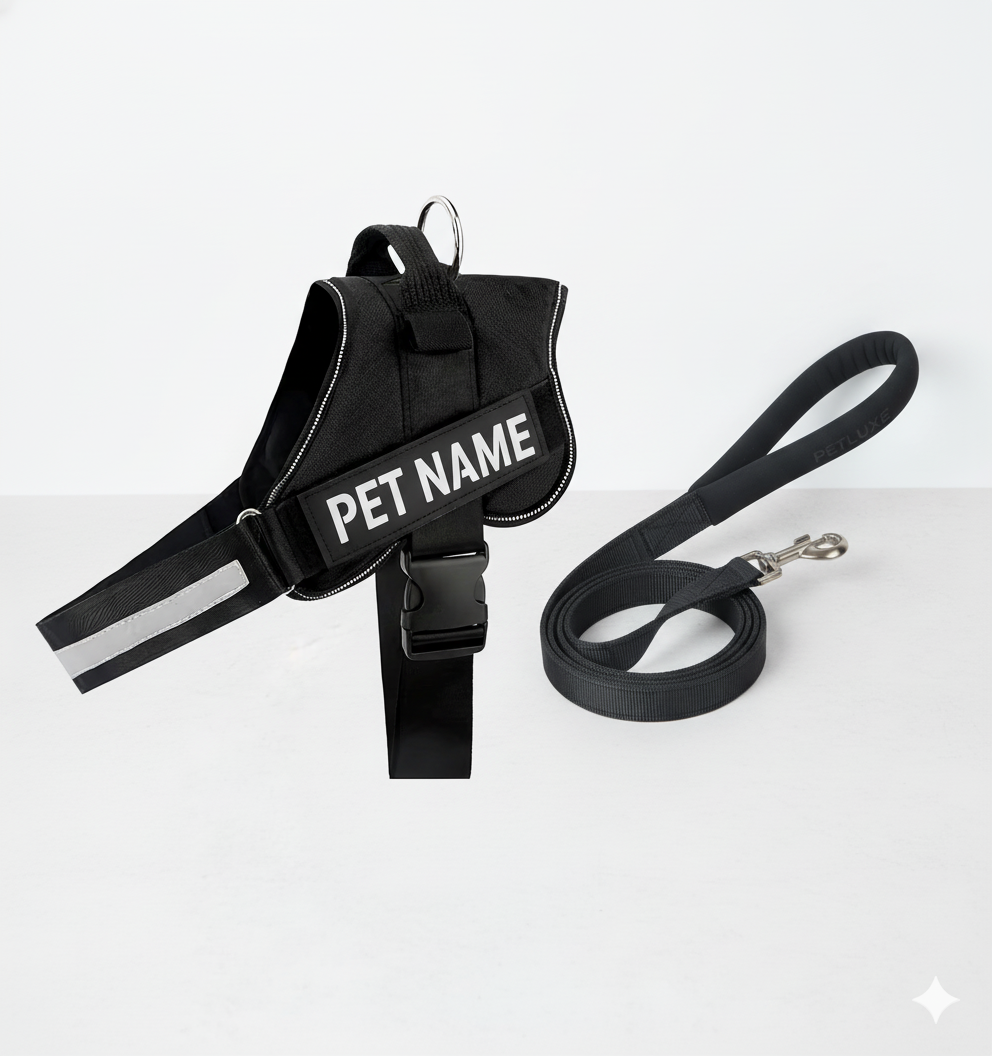 Premium dog hareness  with leash
