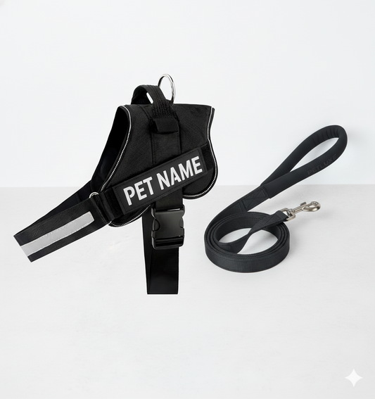 Premium dog hareness  with leash