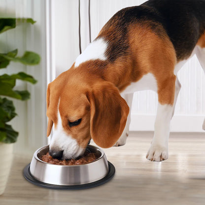 Stainless Steel Pet Bowl + Portable Pet Water Bottle (Combo Offer)