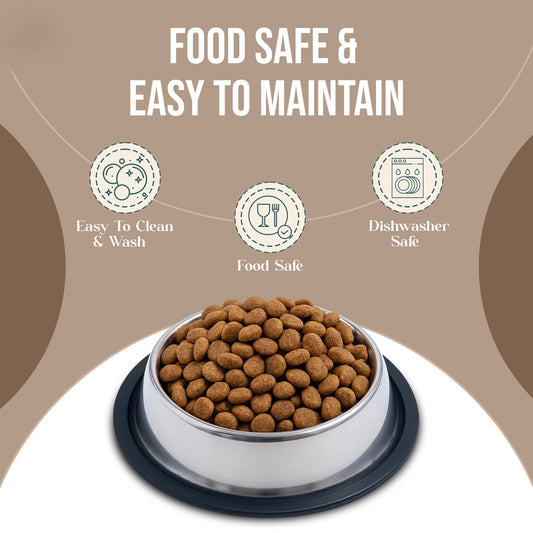 Stainless Steel Pet Bowl + Portable Pet Water Bottle (Combo Offer)