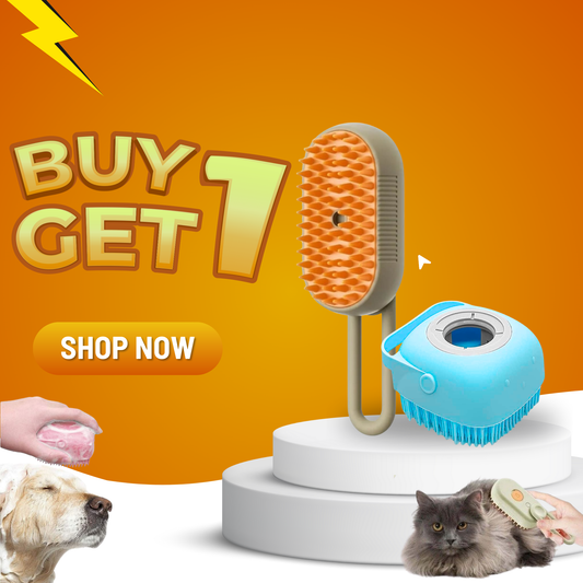 Steam Brush and Bathing Brush