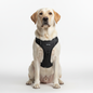 23Premium Dog Hareness