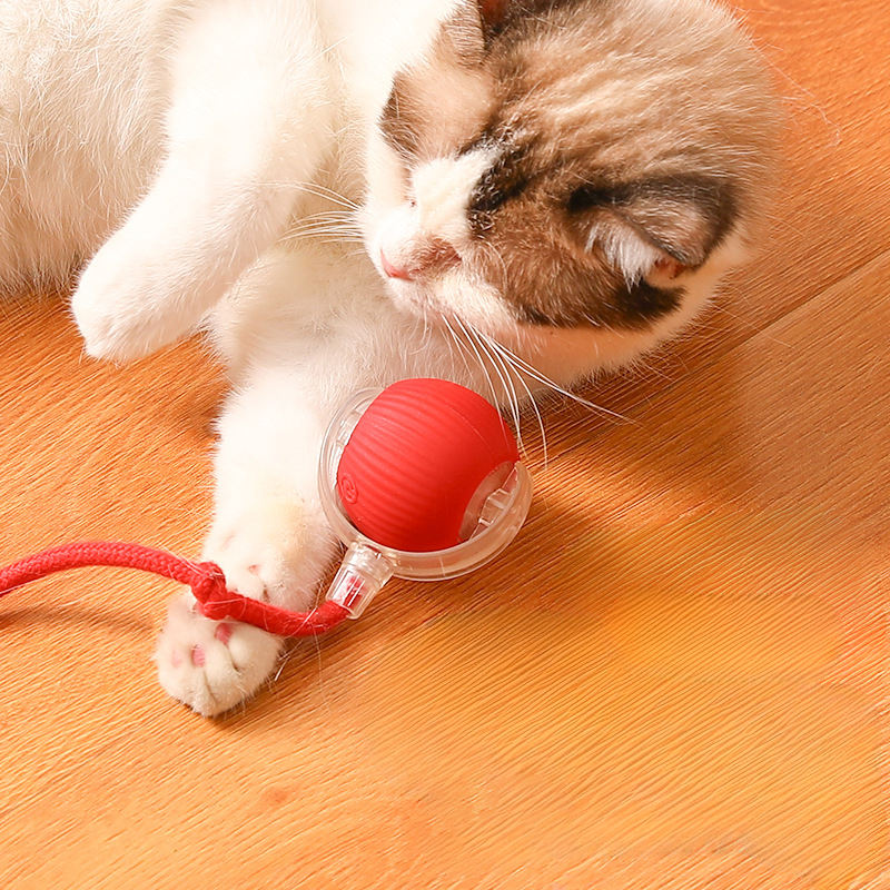 Smart Interactive Cat Teaser Ball